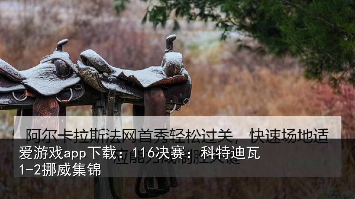 爱游戏app下载：116决赛：科特迪瓦1-2挪威集锦