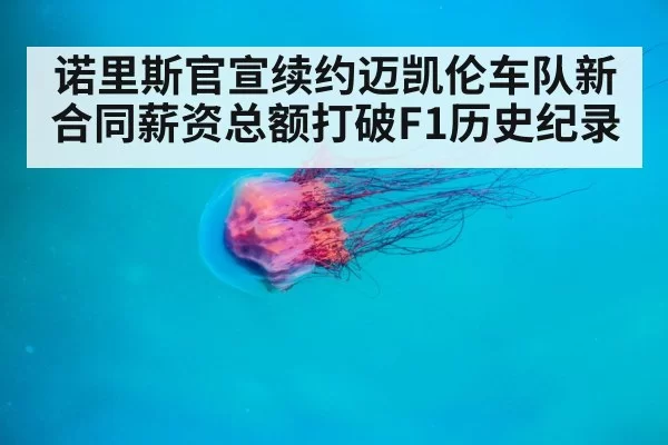 诺里斯官宣续约迈凯伦车队新合同薪资总额打破F1历史纪录